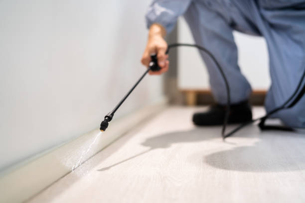 Licensed Termite Control service in Montgomery County County, MD - Nex Pest Control
