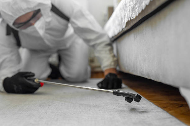 Professional Termite Control technician working in Montgomery County County, MD